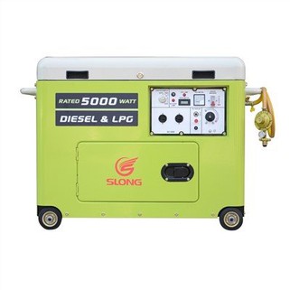 Diesel Dual Fuel Generator