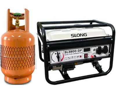 Portable Gasoline LPG Generator 3kw