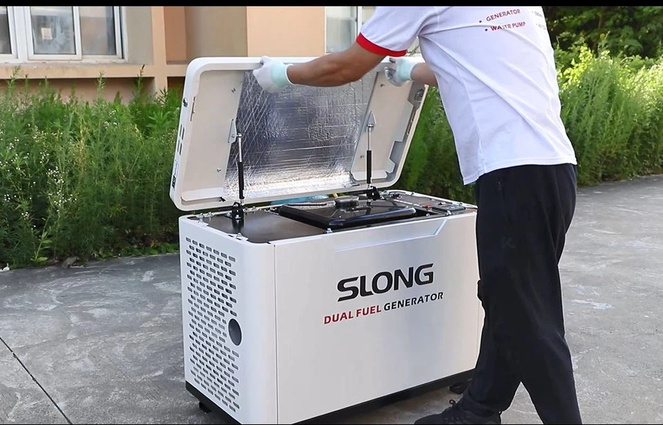 Outdoor Hybrid Gas Power Generator Dual Fuel Generator