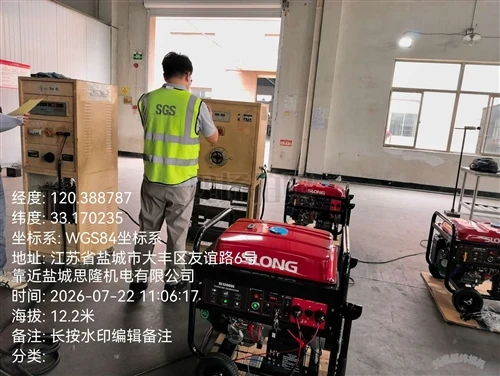 SGS Testing Process For SLONG Gas Generator