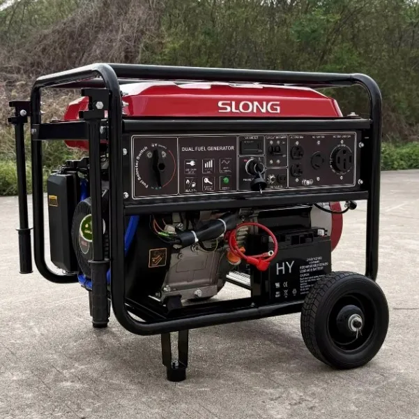 CNG house generator CNG house generator